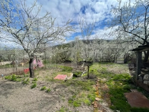 Locuinta in Ticu-Colonie (Casa de vacanta la un pret corect!) - imagine 2