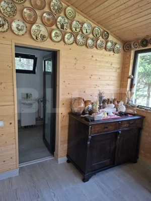 Casa de vacanta 4 camere, 100 mp, teren 768 mp, Dealu Mare, Comuna Marisel - imagine 8