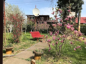 Vand Casa Vacanta Insula Mures