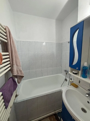 Apartament 1 Camera - imagine 7