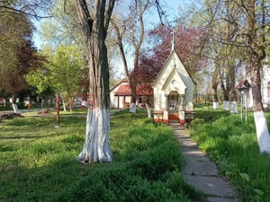 Complex balnear - Calacea - Timis - 15 HA