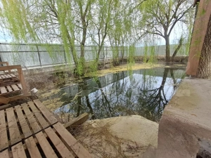 Proprietate deosebită 2 case, lac de pește, finisaje premium  - imagine 11