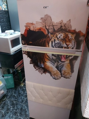 Vand frigider Arctic!