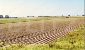 Teren arabil de vanzare, 30.000 mp - Bethausen