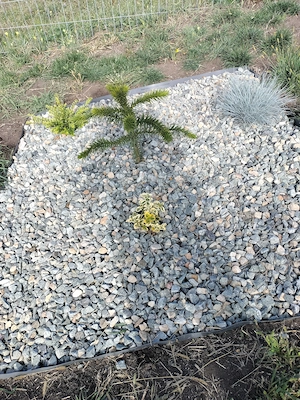 Ofer doritorilor grădina de relaxare și stat în tihnă, Cluj-Napoca