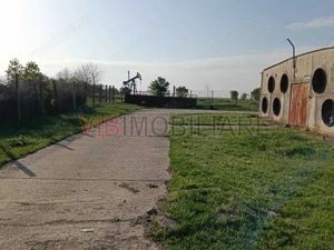 Ferma avicola inchiriere sau vanzare, localitatea Calacea - imagine 5