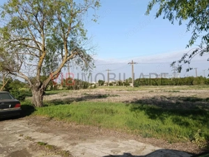 Ferma avicola inchiriere sau vanzare, localitatea Calacea - imagine 2