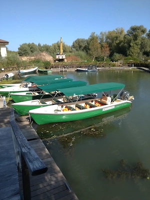 Paradiso Resort, dotari si servicii de 4 margarete in inima Deltei pentru maximum 55 persoane - imagine 10