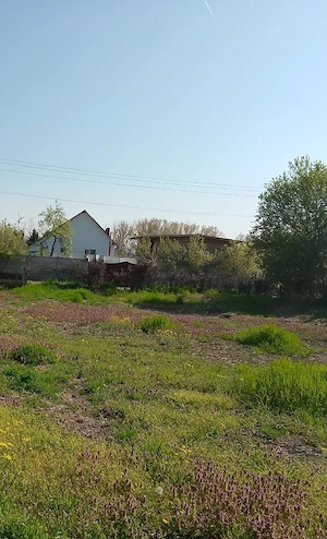 Vand tren intravilan sat Obedin comuna Breasta zero șapte șapte unu patru patru unu opt cinci șase 