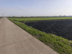 Teren extravilan, 9300mp, 55ml deschidere la drum, Satu Mare, Radauti