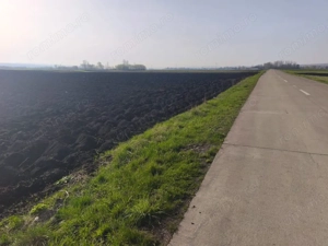 Teren extravilan, 9300mp, 55ml deschidere la drum, Satu Mare, Radauti - imagine 2