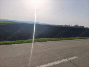 Teren extravilan, 9300mp, 55ml deschidere la drum, Satu Mare, Radauti - imagine 4