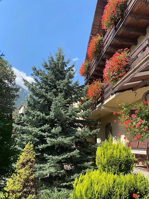 De vanzare Urgent Pensiune si o vila - imagine 3