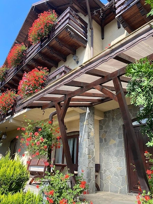 De vanzare Urgent Pensiune si o vila - imagine 4