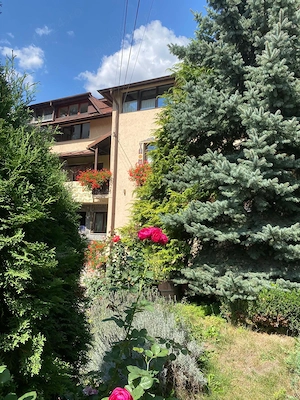 De vanzare Urgent Pensiune si o vila - imagine 5