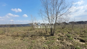 Vanzare teren intravilan, 978 mp, comuna Dragutesti, sat Urechesti  - imagine 8