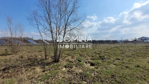 Vanzare teren intravilan, 978 mp, comuna Dragutesti, sat Urechesti  - imagine 9