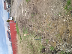 Teren Nicolae Bălcescu Harman 