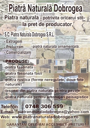 Afacere la cheie - productie piatra naturala - imagine 4