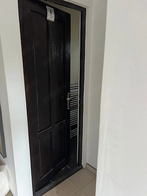 Uși lemn stratificat