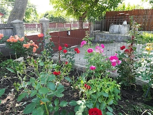 Casa cu teren in Deleni, Iasi - imagine 5