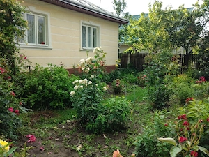 Casa cu teren in Deleni, Iasi - imagine 4