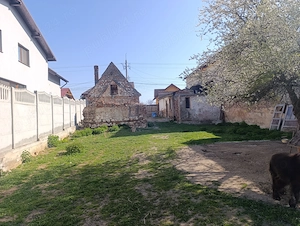 Teren Intravilan Str Constituției Codlea  - imagine 4