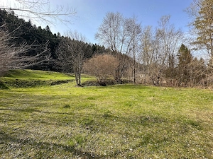 Vand 6888 mp in Putna Sv - ideal complex turistic   pensiune - imagine 6