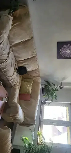 3 camere obor mihai bravu - imagine 2