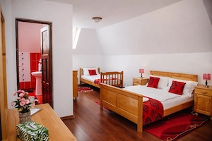 Vand pensiune functionala pe via Transapuseana - imagine 5