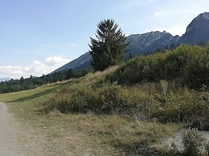 Zarnesti - Plaiul Foii, 4880 mp teren intravilan. - imagine 5