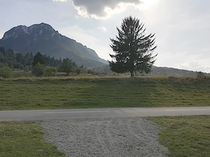 Zarnesti - Plaiul Foii, 4880 mp teren intravilan. - imagine 8
