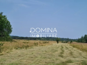 Vânzare teren *17,8 ha - front stradal 40 m.l.* Comuna Runcu - Sat Dobrița - imagine 3