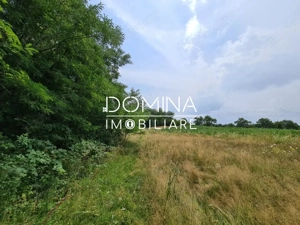 Vânzare teren *17,8 ha - front stradal 40 m.l.* Comuna Runcu - Sat Dobrița - imagine 6