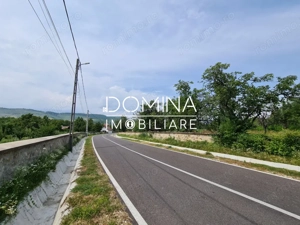 Vânzare teren *17,8 ha - front stradal 40 m.l.* Comuna Runcu - Sat Dobrița - imagine 2