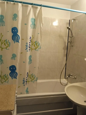 Apartament cu 1 camera , spatios  - imagine 2