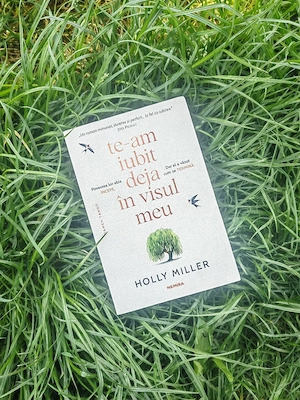 Carte Te am iubit deja in visul meu