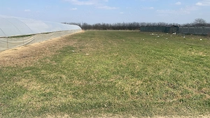 Teren 1.055 mp cu 2 deschideri   Dumitrana Măgurele   Utilități - imagine 7