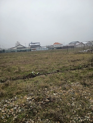 teren simian zona avicola - imagine 4