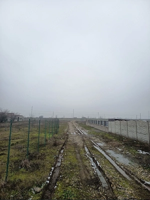 teren simian zona avicola - imagine 3