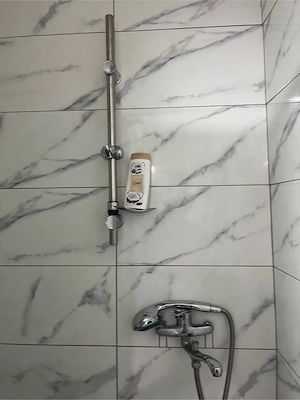 Vând casa la Parța  - imagine 2