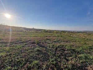 vand teren Paleu intravilan 3155 mp - 49 euro mp - imagine 6