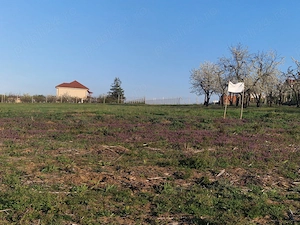 vand teren Paleu intravilan 3155 mp - 49 euro mp - imagine 4