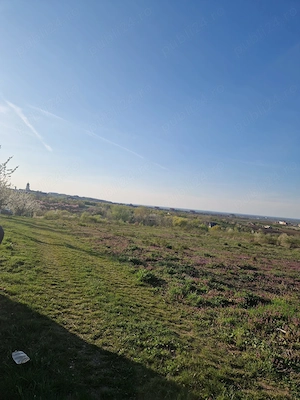 vand teren Paleu intravilan 3155 mp - 49 euro mp - imagine 9