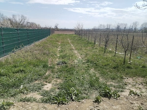 Vând teren - imagine 5