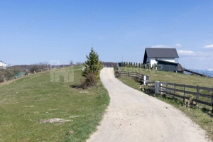 Teren Intravilan 3.791 mp | Priveliște Panoramică Superbă | Poiana Mărului
