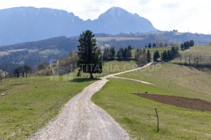 Teren intravilan în Poiana Mărului, 3.791 mp cu priveliste panoramica