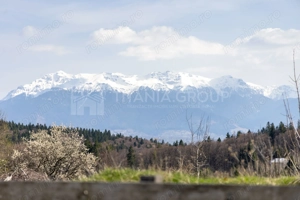 Teren intravilan în Poiana Mărului, 3.791 mp cu priveliste panoramica