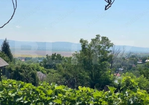 Vînd Casă în Sacoșu Mare, Com.Darova! Cu o suprafață de teren de 9500.m2. - imagine 6