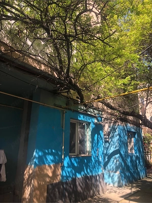 timpuri noi splaiul unirii cu centrala - imagine 20